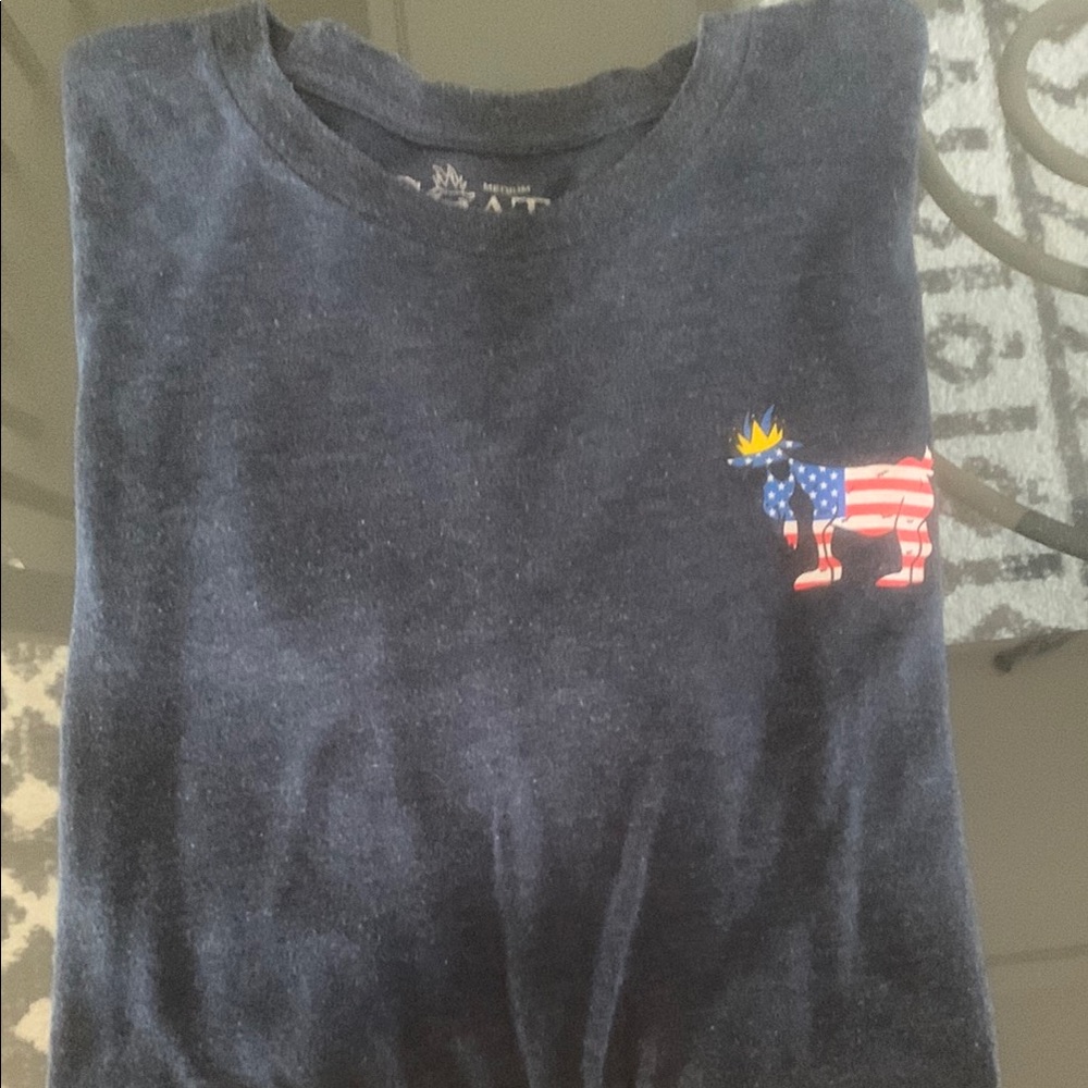 Blue Long Sleeve Tees Casual Cotton